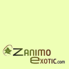 Zanimo Exotic Zanimo Exotic